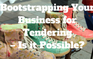 BIZphit - Bootstrapping Your Business for Tendering – Is it Possible